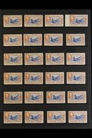 1938-50 5s "SEALION" SHADES ACCUMULATION CAT £2875+  A Stock Page Bearing 24 Fine Mint Examples Of The Pictorial 5s "Sou - Falklandeilanden