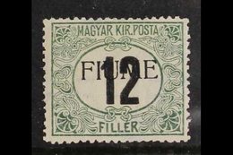 POSTAGE DUE  1918 12f Black & Green Overprint (Sassone 2, SG D30), Fine Mint, Very Fresh, With Raybaudi Photo-certificat - Fiume