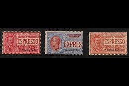 ERITREA  EXPRESS 1907-21 Overprints Complete Set (SG E31, E34 & E53, Sassone 1/3), Fine Mint, Fresh. (3 Stamps) For More - Autres & Non Classés