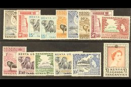 1954-9  QEII Definitives, Complete Set Plus 15c Redrawn With Stop Below "c" SG 167/80, Never Hinged Mint (15 Stamps). Fo - Vide