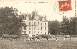 Cpa Chateau De Savigny Pres De Vouneuil - Vouneuil Sur Vienne