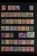 NEGRI SEMBILAN  1891-1961 USED COLLECTION On Stock Pages, All Different, Includes 1891 2c Opt, 1891-94 Tiger Set, 1895-9 - Other & Unclassified