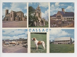 Callac : Ruines Botmel église épagneul Breton Maison De Retraite (n°1490) - Callac