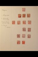 FORGERIES COLLECTION  1862-78 Very Impressive Collection Of "Medicinal Spring" Classics With A Range Of Bogus Cancellati - St.Christopher, Nevis En Anguilla (...-1980)