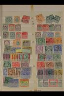 1903-1923 MINT & USED ACCUMULATION  Presented On A Busy Stock Page That At A Glance Includes Ranges With 1903-18 To 5s M - St.Kitts-et-Nevis ( 1983-...)