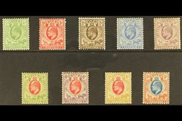 ORANGE RIVER COLONY  1903 Ed VII Set Complete, SG 139/147, Very Fine Mint. (9 Stamps) For More Images, Please Visit Http - Ohne Zuordnung