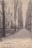 Delcampe - Ieper, Ypres, L'Eglise St Pierre (pk65198) - Ieper