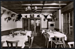 D0087 - Haslach - Gasthaus Zum Storchen Innenansicht Jägerstube - Gaststätte - Foto Grüninger - Haslach