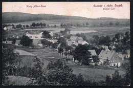 D0089 - Gelenau - König Albert Heim - H. Engler Dresden - Gelenau