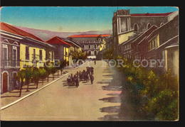 Tarjeta Postal La Paz Bolivia Calle America Animada Procesion De Llamas W5_1145 - Bolivia