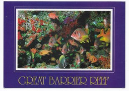 THE GREAT BARRIER RIFF  1993 - Great Barrier Reef