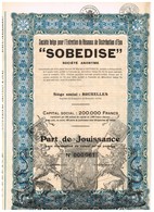 Titre Ancien - Sté Belge Pour L'Entretien De Réseaux De Distribution D'Eau "SODEBISE" - Titre De 1939 - - Agua