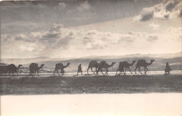 ¤¤   -   SYRIE   -   Carte-Photo D'une Caravane De Chameaux       -   ¤¤ - Syrië