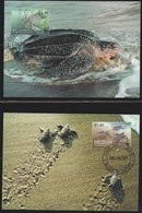 WWF-BEQUIA-LEDERSCHILDPAD-stamps+4 FDC + 4 MAX - Turtles