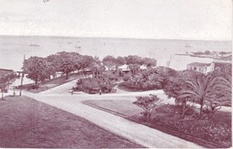 SAO TOME(ARBRE) - Sao Tome Et Principe