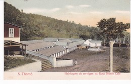 SAO TOME(ARBRE) CAFE - Sao Tome Et Principe