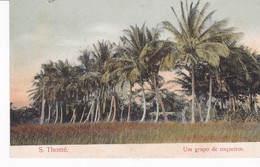 SAO TOME(ARBRE) - Sao Tome Et Principe