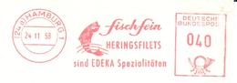 Germany - Herring Fillets - Fish - Food - Non Classificati