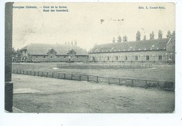 Merksplas - Merxplas Colonie - Koer Der Boerderij - Merksplas