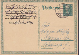 Deutsches Reich Postal Stationery Ganzsache Entier Hindenburg DELUXE Cds. SORAU (Nd. Lausitz) - Postcards