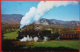 USA - STEAM LOCOMOTIVE NO 47 HEADING FOR CONWAY - Treni