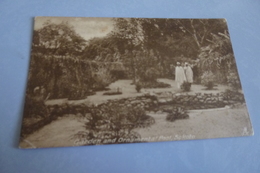 Delcampe - GARDEN AND ORNAMENTAL POOL ...SOKOTO ...RAPHAEL TUCKS LAGOS - Nigeria