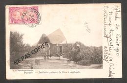 Djibouti   Jardinier Puisant De L Eau à Ambouli   Oblit 1910 - Djibouti