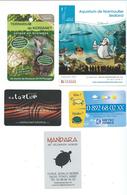 17370 - LOT DE PETITES CARTES PUB - THEME TORTUES - (Carte Météo - Aquarium De Noirmoutier Et Terrarium De Kerdanet - Ma - Turtles