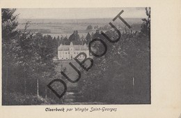 Postkaart - Carte Postale Sint Joris Winge, Cleerbeck - Kasteel   (G191) - Tielt-Winge