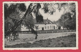 Houthalen - Keichterhoef  -1967 ( Verso Zien ) - Houthalen-Helchteren