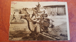 Russian Asia. Ashkhabad (Turkmenistan) Riding Camel  - OLD PC  1930s - Animated - Posted 1943 - Turkmenistan