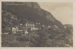 Suisse - Biolay - Les Granges - Grand Hôtel Des Granges Sur Salvan - Postmarked 1927 - Granges