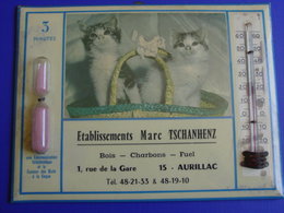 THERMOMÈTRE-SABLIER Sur TÔLE PUBLICITAIRE Pour Bois-Charbons..AURILLAC (CANTAL)-Photo Chats-châtons - Tin Signs (after1960)