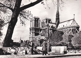 CPSM 10X15. PARIS . Notre -Dame ( Et Sa Flèche) Les Quais Et Ses Peintres - Notre Dame De Paris