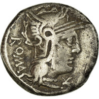 Monnaie, Caecilia, Denier, 127 BC, Rome, TTB, Argent, Crawford:263/1b - République (-280 à -27)