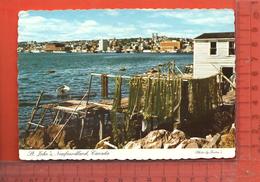 CPM  CANADA TERRE-NEUVE & LABRADOR : St. John's, Fishing Nets - St. John's