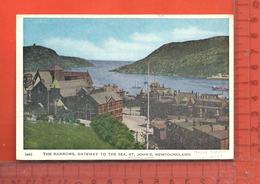 CPM  CANADA TERRE-NEUVE & LABRADOR : St. John's, The Narrows, Gateway To The Sea - St. John's