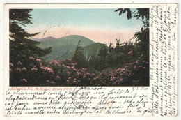 ASHEVILLE, NC - Mt. Mitchell - 1906 - Asheville