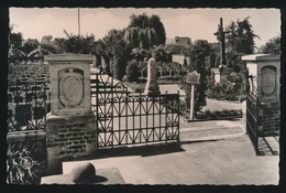 EPPEGEM  MILITAIR KERKHOF  FOTOKAART - Zemst