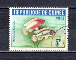 GUINEE N° 183  OBLITERE COTE 0.30€   ANIMAUX - Guinée (1958-...)