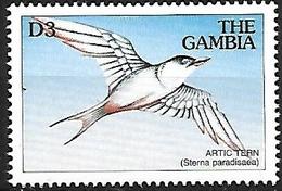 GAMBIA - MNH - 1997 :   Arctic Tern -   Sterna Paradisaea - Meeuwen