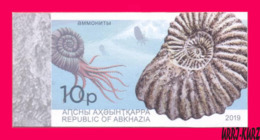 ABKHAZIA 2019 Fauna Marine Shell Fossils Extinct Cephalopods Ammonites Archaeology 1v Imperforated MNH - Archäologie