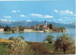 Allemagne - Halbinsel Wasserburg / Bodensee - Ecrite, Timbrée - Verlag Schöning - - Wasserburg A. Bodensee