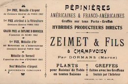 VP16.250 - CDV - Carte De Visite - Pépinières Américaines & Franco - Américaines ....ZEIMET & Fils à CHAMPVOISY - Visiting Cards