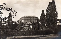 BERLIN - Botanischer Garten - Italienischer Garten Mit Schauhäusern - Dahlem