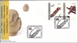 UNO Wiena 2002 - Osttimor - Covers & Documents