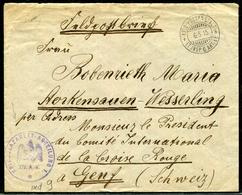 SUISSE - LETTRE OBL. " FELD-POSTANSTALT / 6 ARMÉE LE 6/5/1915 " & " KRIEGSLAZARETT-AB. TEILUNG 1. " - TB - Abstempelungen