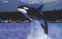 PUZZLE De 4 Télécartes Chine - ANIMAL - Dauphin Baleine ORQUE - ORCA Whale Phonecards Telefonkarten - 345 - Puzzles