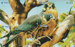 PUZZLE De 4 TC Chine - ANIMAL - OISEAU Rapace - FAUCON - HAWK BIRD Phonecards Telefonkarten - 4506 - Rompecabezas