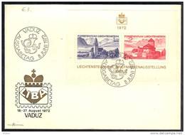 LIECHTENSTEIN. VADUZ  1972.    (LM38) - Lettres & Documents